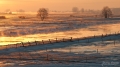 066_Biebrza - marzec 2013